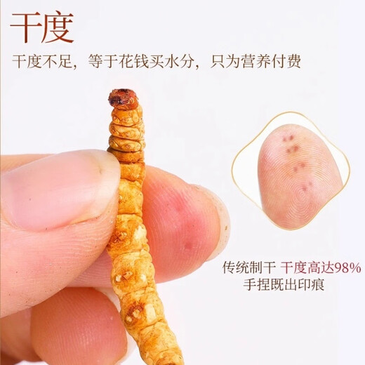 冬虫夏草（支持质检）藏区雪域虫草断草整肉纯肉节冬虫夏草干断草 冬虫夏草纯肉节30克送4克 提高免疫力