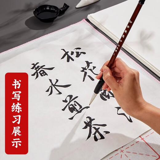 Liupin Academy Liupintang rice paper painting white calligraphy painting art students a4 special paper practice blank elementary school students kindergarten art students special