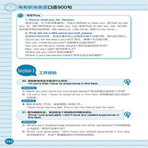 900 phrases anglophones pour les affaires et le lieu de travail