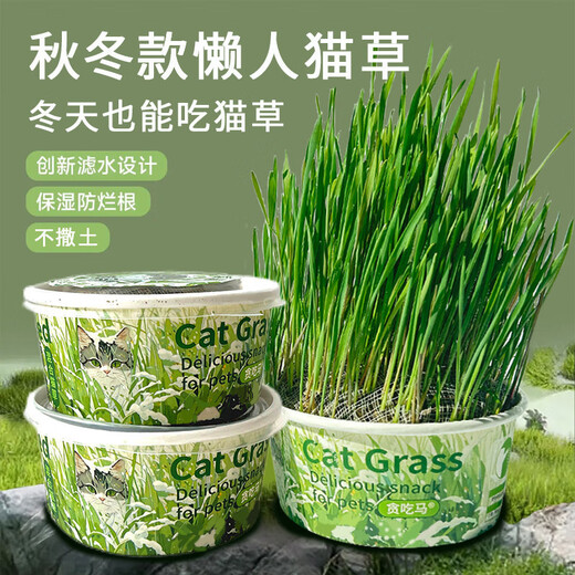 Greedy horse cat grass, lazy cat grass, ready-to-eat dehairing balls, cat snacks, hydroponic instant noodles, summer cat grass, winter style, Aoxue Lingshuang, combination 7 (single bowl), 1 pack