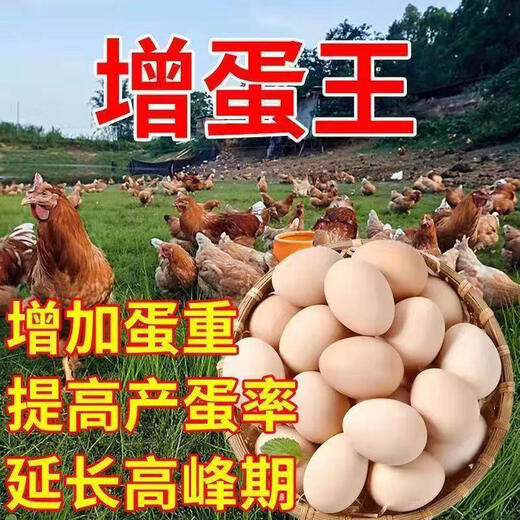 More eggs, more eggs, more eggs, more eggs, more eggs, chickens, ducks and geese lay eggs, produce eggs, encourage eggs, change egg quality, feed additives for egg production, special value for 8 packages, buy five and get three free