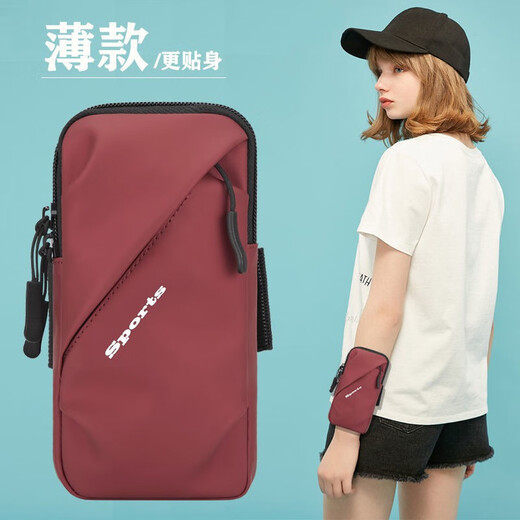 LEIDIXIONG sports running mobile phone arm bag for men and women outdoor fitness equipment cycling bag wristband carrier arm bag 036 light gray/under 6.7 inches