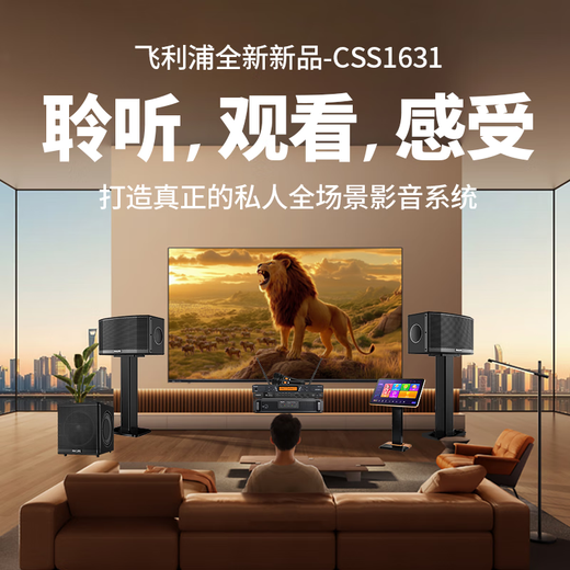 飞利浦【国家补贴】家庭ktv音响套装唱歌全套设备 卡拉ok点歌机功放音箱组合 家用客厅唱歌K歌设备 【4只音响大空间】10吋2.0尊享版套装 图片色