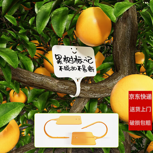 Shipton nursery flower pot plastic succulent label flower gardening ground brand potted plant name sign waterproof small plug card yellow 10 (15cm)