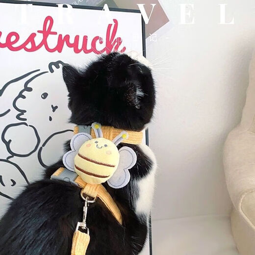 Little Bee traction rope, cat traction rope, anti-breakaway I-shaped adjustable pet dog leash, small dog, lemon yellow, the traction rope is about 1.2 meters long, S size, it is recommended that 2 Jin Jin is equal to 0.5 kg -6 Jin Jin is equal to 0.5 kg