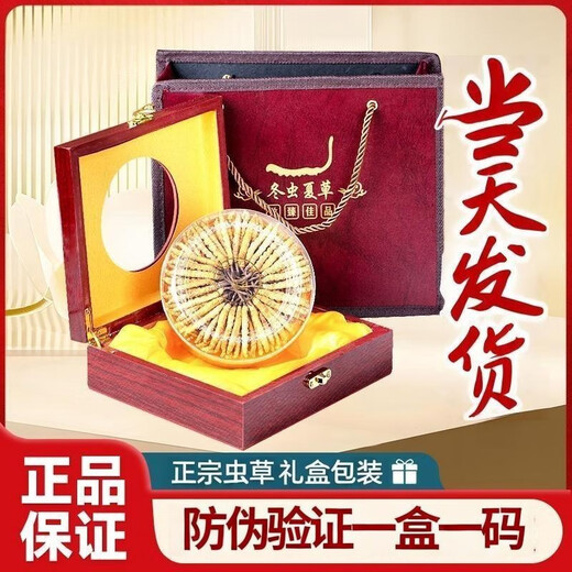 西那藏曲冬虫夏草精选虫草足干虫草高海拔头期冬虫夏草礼盒可选 那曲虫草3根1克100条-送10条