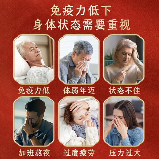 态乐美【灵芝三萜15g】 破壁灵芝孢子粉 增强免疫力 富含孢子油探病礼物 3g*120袋/盒-4月量