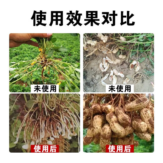 Peanut bifurcated injection of peanut expansion factor, peanut enlargement, grain filling, high yield and income increase, special foliar fertilizer for peanuts, Australian brand 1L*12 bottles