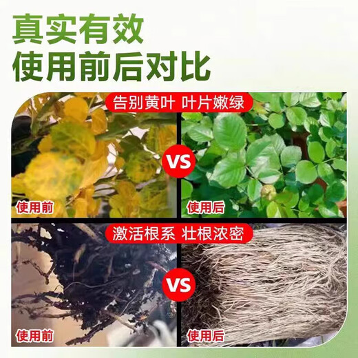 植物再生剂浓缩营养液复活液水培花肥料室内盆栽植物营养液通用型 单盒(6支108g）