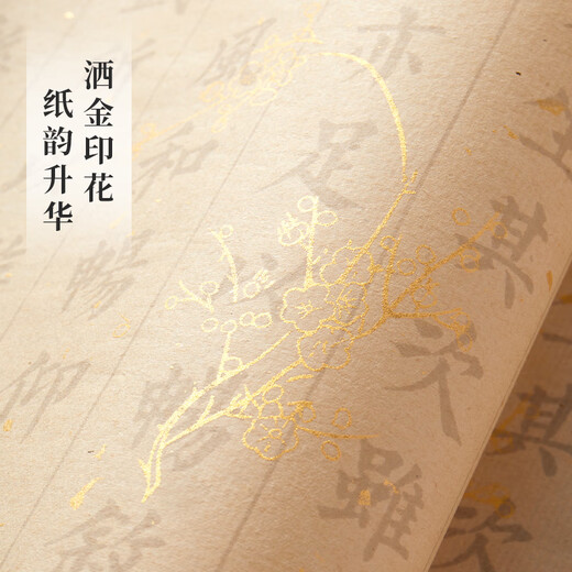 Liupintang Xiaokai calligraphy copybook, Guoxue Lanting Preface, Beginner's introductory calligraphy special regular script practice calligraphy book, Adult soft pen practice paper, Meditation calligraphy practice set