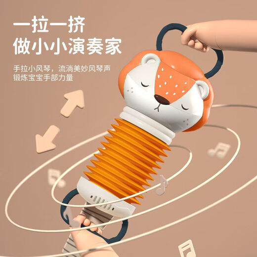 Kangbuwei's New Cartoon Kinder Akkordeon Musikinstrument Anfant Infant Early Education Musik Aufklärung Rassel Spielzeug Xiaolu Babymusikakkordeon [gewöhnliche Batterie *2+ Schraubendreher]