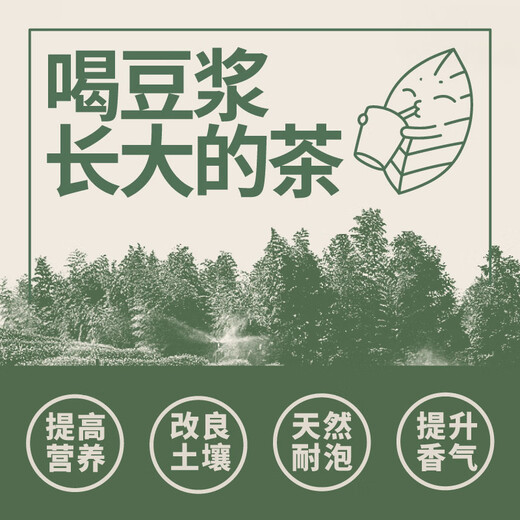 修哲组合茶叶金奖博物馆台湾高山冻顶金萱四种口味32g无农残可冷泡