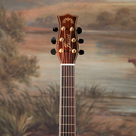 朱丽叶吉他面单x-9 GA缺角40吋电箱加振