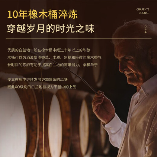 派斯顿法国进口洋酒白兰地XO 40°烈酒 秘密 原酒进口 礼盒展示送礼酒 柏纳佳帝干邑 700mL 1瓶