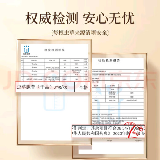 冬虫夏草（顺丰直发)藏区高海拔冬虫夏草礼盒送礼高端大气上档次 那曲虫草4根1克20条装