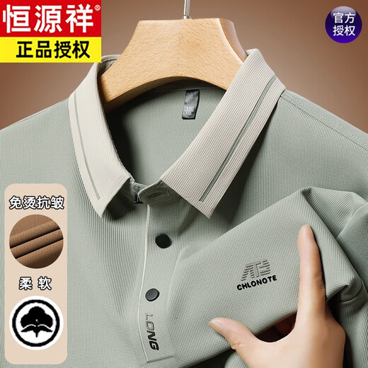 恒源祥中年男士长袖t恤春秋季新款休闲宽松翻领打底POLO.衫爸爸装上衣 16823浅绿 M 165【建议95-120斤】