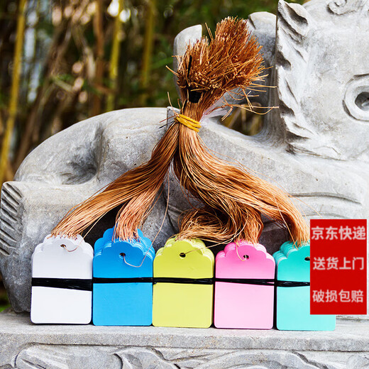 Shipton 100 pieces of PVC color plastic plant tags for flowers and gardening potted plants small hanging tags for seedlings and succulent tags 4.5x3cm white/100 pieces in a bundle