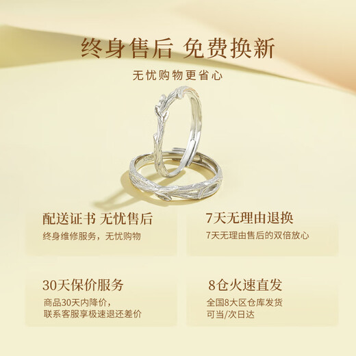 ALLOVE Lian Lizhi Couple Ring Men's and Women's Sterling Silver Proposal Ring Birthday Gift for Girlfriend and Wife Practical Wedding Gift