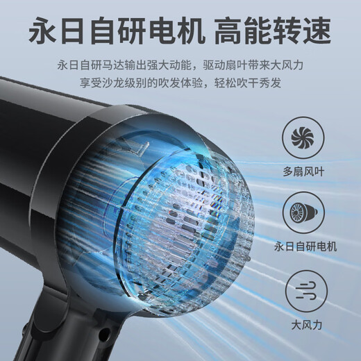 Yongri (yongri) household hair dryer 2100W professional high-power floral dormitory family high wind constant temperature hair dryer national subsidy Mother's Day gift