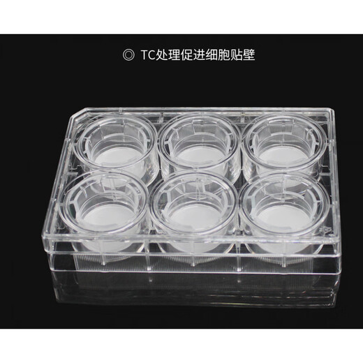 LABSELECT甄选 6孔12孔24孔 PC/PET膜细胞小室培养板 transwell 12孔板(PET膜12mm孔径0.4μm)1421