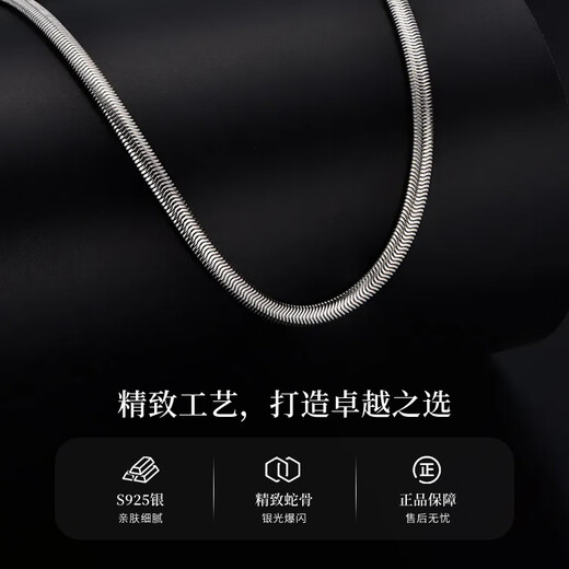 Chinese Gold Snake Bone Chain Silver Necklace Men's Trendy Zodiac Year Snake Shape Chain for Boys Birthday Gift for Boyfriend and Husband Anniversary Blade Snake Bone Chain Jingsuda