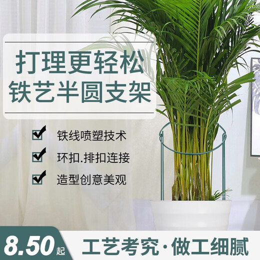 
Iron flower stand plant support semicircular crab claw orchid hydrangea rose green plant vine plant flower stand fixed leaf protection 30cmX50cm (2 pieces)