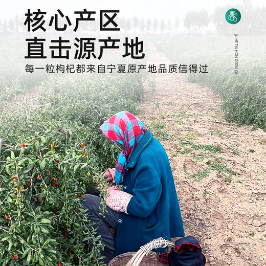 聚和泰【超值大份量】宁夏特优级枸杞1000g苟杞子红枸杞黑枸杞男肾泡水