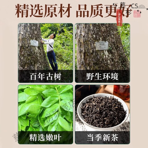 协和京品【官方旗舰】青钱柳茶特级野生古树嫩芽无糖养生茶金钱柳青钱柳 两盒装