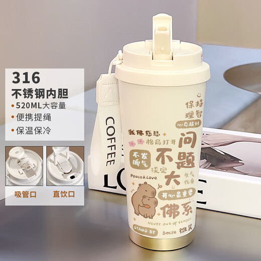 吸管保温杯果盈卡通情侣保温杯男女大容量运动水杯便携 不锈钢内 不锈钢内胆-FA1276山+挂绳 520ml