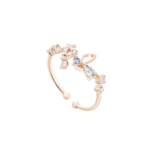 Dai Yan's 2025 new ring, small, fresh, fashionable and personalized open ring, adjustable niche design index finger ring gift, double-layered flower ring in one package
