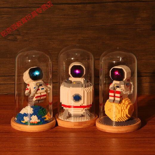 Weifanjia (Weifanjia) Miniature Petite particules Blocs de construction Astronaute Box Box Toys Gift Goot's Day pour les garçons et les filles 2693 + 2694 OVR