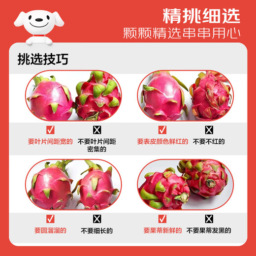 Jingxiansheng Red Heart Pitaya Big Mac 6 pieces, single fruit 500g, net weight 6Jin Jin is equal to 0.5kg, gift box, fresh fruit