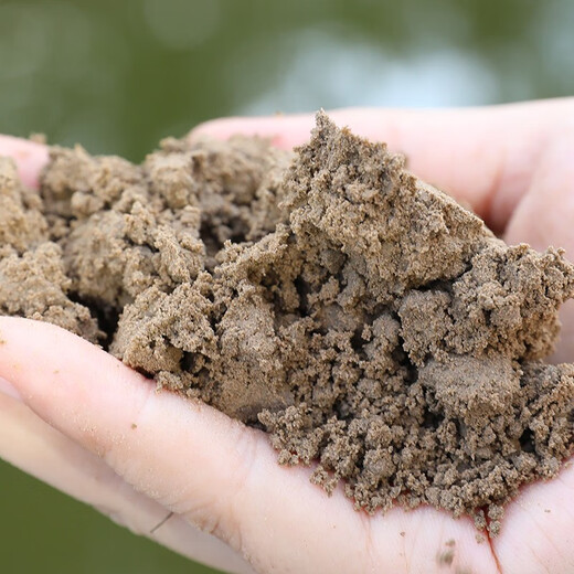 Shouhe lotus pond mud bowl lotus soil special nutrient soil for hydroponic plants Weifeng lotus pond mud 800g