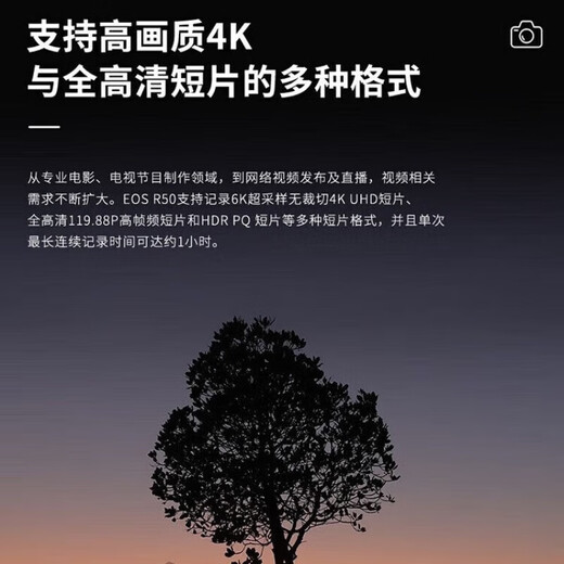 Canon Canon R50 Mirrorless High Speed Continuous Shooting Home Travel Video Shooting 4KVolg Small Portable Camera Simple Black R50+18-150 Lens