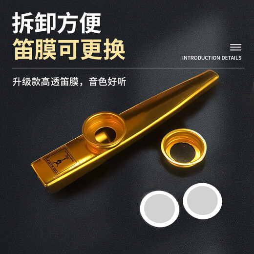 前谷卡祖笛专业初学kazoo金属演奏级小大号吉他尤克里伴奏冷门型乐器 [经典]极致银全套礼品