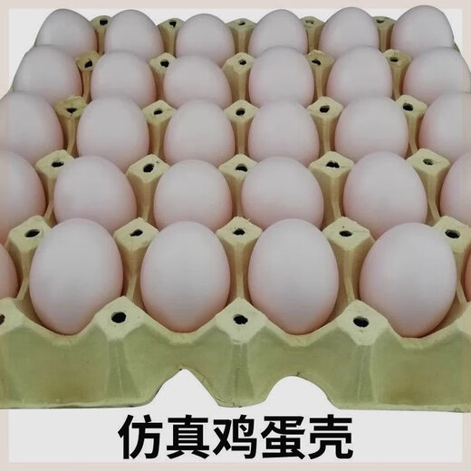 遥绾惜假鸡蛋 母鸡引蛋仿真鸡蛋鸭蛋儿童过家家幼儿园绘画DIY玩具鸡蛋壳 5个塑料空心仿真鸡蛋