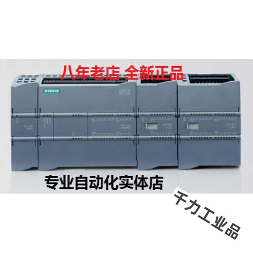 Yue Changsheng S7-100/6ES7 11/1/14/15/17-1BE/HE/AE/BG/HG/A customized 6ES7211-1HE40-0XB0