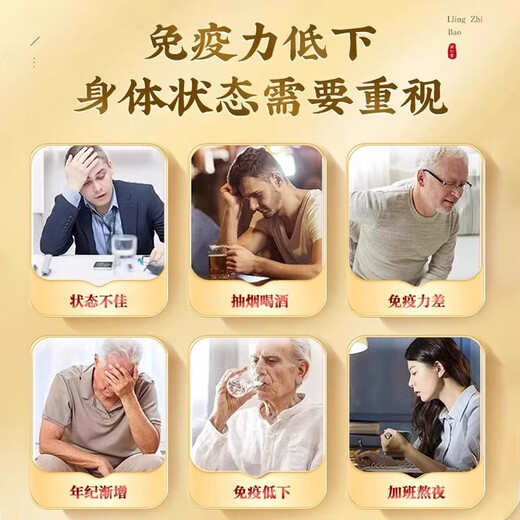 
Beijing Tongrentang Ganoderma lucidum spore powder, spore powder, broken wall spore powder, enhance immunity, adult, middle-aged and elderly, visiting gifts 2 boxes [visiting gifts] (gift bags