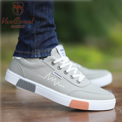 西域骆驼（VANCAMEL）男鞋2025春季新款透气帆布鞋男士运动休闲鞋子百搭板鞋 6636黑白色 41 标准码