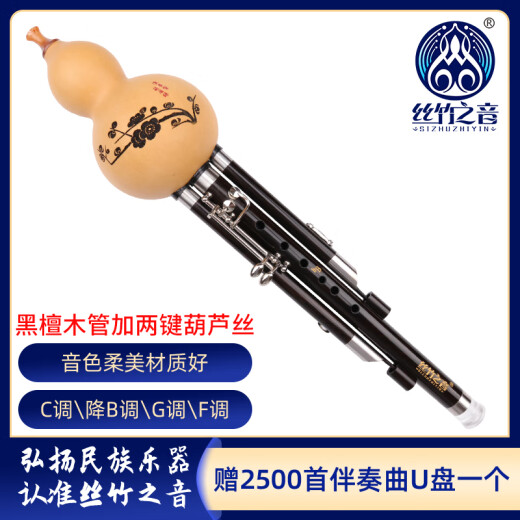 丝竹之音七孔葫芦丝加两键c调降b调f调g调专业演奏型成人黑檀木红木管乐器 红木管加键【 C调】+8赠品