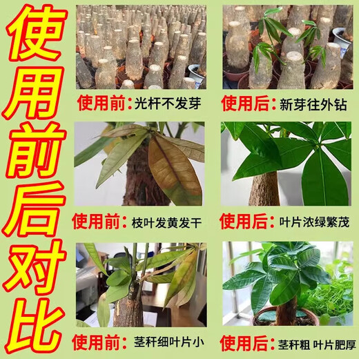 Aishangke plant regenerator universal concentrated nutrient solution powerful germination, rooting and seedling resurrection liquid dead tree flower universal type 18g 6 bottles in a box