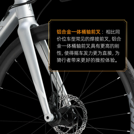 Qianlida Tornado 700 Serie Tornado 500 Bend Road Bicycle Road Fahrzeug Aluminiumlegierung Scheibenbremsgeschwindigkeit Tornado 500 -A2 Gletscher Silber 700c*510 mm, empfohlen ungefähr 178-185 cm 16