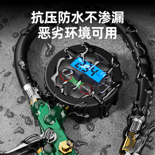 Shengda tire pressure gauge digital display car tire monitor tire pressure gauge high-precision pressure measurement household car pressure gauge