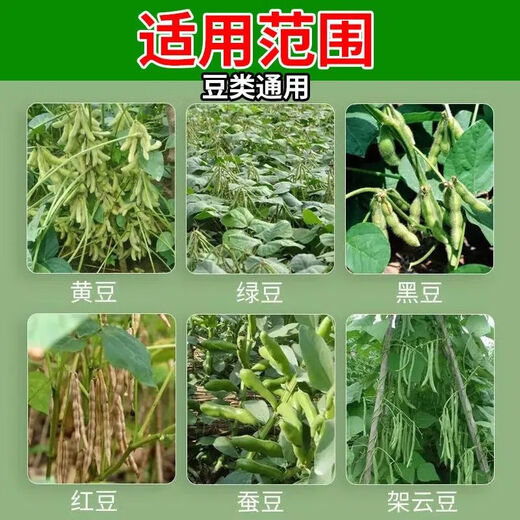 Special foliar fertilizer for broad beans to plump broad beans, keep flowers and pods straight and increase production, 100ml*5 bottles