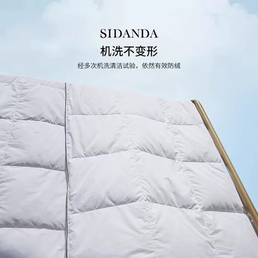 SIDANDA羽绒被95白鹅绒可水洗a类面料填充680g 春秋被200*230cm