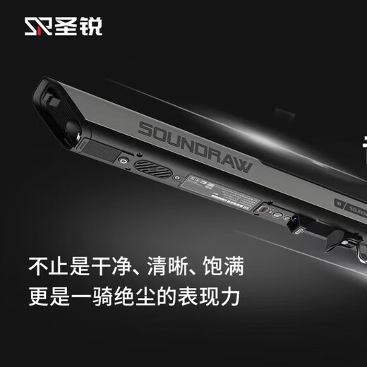 Shengrui SR8000 ELECTRICA TUBE BLAJETSHIP NUEVO MODELO DE PERSONAS DE MEDIO Y MEJORES Instrumento musical para principiantes Saxofón eléctrico Flauta de seda