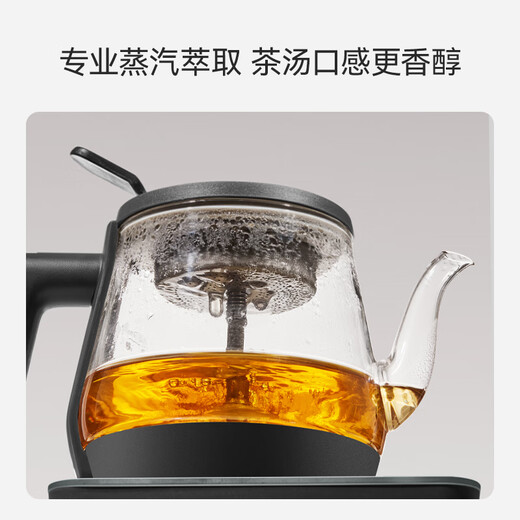 SUPOR health pot tea kettle aerospace grade pure titanium high temperature extraction tea steam spray tea kettle kettle electric kettle office home SW-10C03