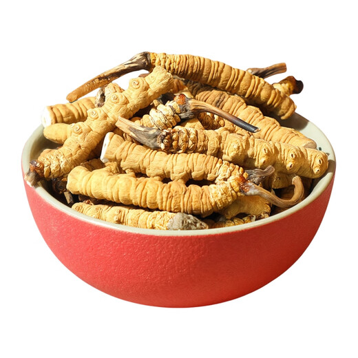 [Inspección de calidad de apoyo] 10 gramos de césped roto grande Cordyceps sinensis Cordyceps sinensis Cordyceps sinensis y fertilizarse. Cordyceps sinensis 10 gramos empacan un gramo de cabello 11 gramos 11 gramos
