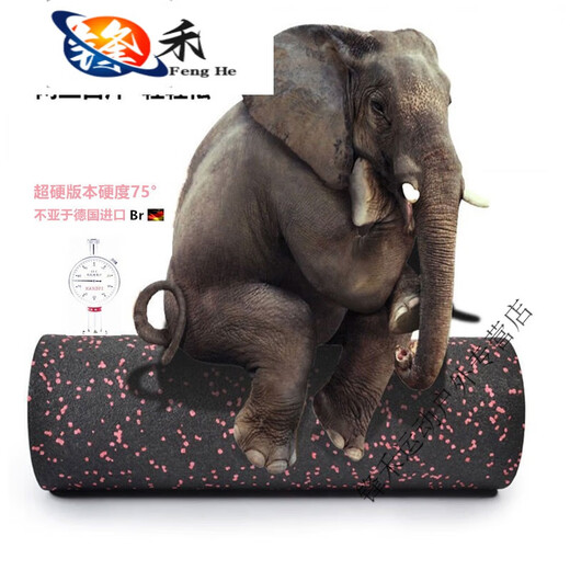 盛洛侠高品优选德国同款硬泡沫轴拉伸筋膜瑜伽柱健身肌肉按摩 加长款超硬75°花色Φ15*45cm