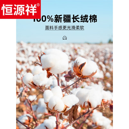 
Hengyuanxiang pure cotton free iron long sleeve white shirt men's high-end business formal wear 6621 purple stripes (pure cotton free iron - with pockets) 39 [weight 115 Jin [Jin equals 0.5 kg]-125 Jin [Jin equals 0.5 kg]]